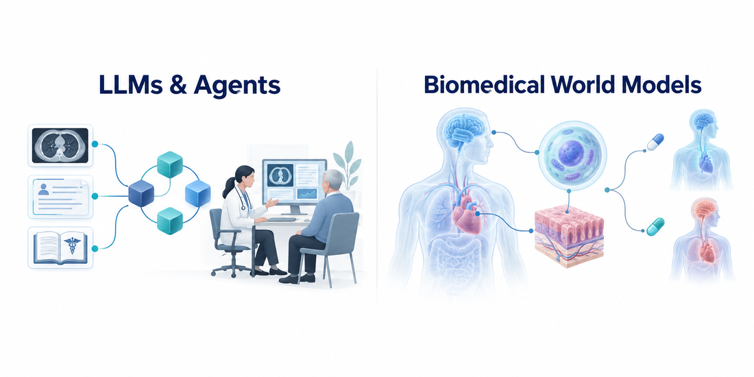 Two complementary research directions: LLMs and agents for medicine and healthcare, and biomedical world models.