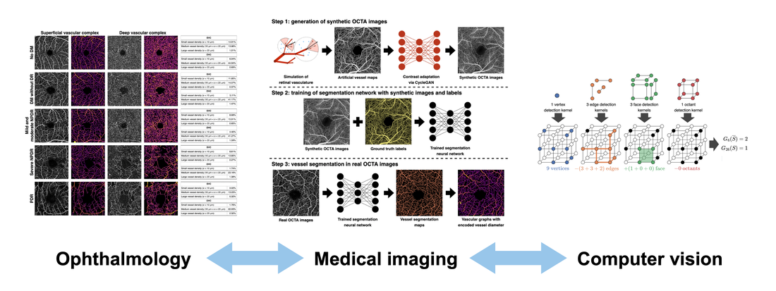 A figure showcasing how the research of the AI for Vision group spans ophthalmology, medical imaging, and computer vision.